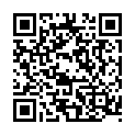 梦幻天堂·龙网(www.321n.net).720p.钢铁侠2.铁甲奇侠2.钢铁人2的二维码