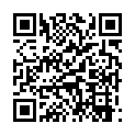 [MSRSub] Seitokai Yakuindomo 2 - 22 OAD [GB][720P] v2的二维码