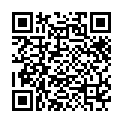 [131129] [STARGAZER] 未来戦姫 スレイブニル + Premium Content Disk + Bonus + Wallpaper的二维码