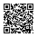 Despicable Me 2 3D HSBS 1080p  [Dual Audio][English 5.1 + Hindi  5.1]TEAM CSA的二维码