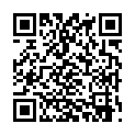 [WizardsFansubs] Detective Conan - 105 (576p) [0A3C014F].mp4的二维码