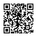 HGC@4353-东北主播二嫂户外直播勾引司机司机说减十块钱给你买个避孕药合集的二维码