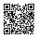 魅力社989pa.com-钢铁侠1-2-3部系列全集BluRay.1080p.x264.DTS.AAC.国英双语中英双字的二维码