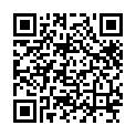 2013.钢铁侠3.BD1080P英语中英双字[www.bdsee.cn].mp4的二维码