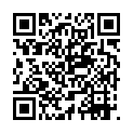 [www.hdmayi.com]钢铁侠3.2013.1080P.BD-MP4.国英双语.中英特效字幕的二维码