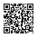 The Equalizer 2 (2018) x264 720p BluRay {Dual Audio} [Hindi DD 5.1 + English 2.0] Exclusive By DREDD的二维码