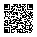 Astro Boy 2009 BDRip H264 AAC~Recalled2Life [ChattChitto RG]的二维码