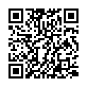 神探狄仁杰I全30集.2004.国语中字￡圣城renship的二维码