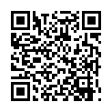 Fullmetal Alchemist Brotherhood - 12 (1440x1080 x264 Cantonese AC3 + Japanese AAC).mkv的二维码