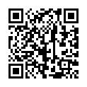 [Shini-subs] Kyoukai Senjou no Horizon - 03 (1280x720 h264 AAC) [05487062].mkv的二维码